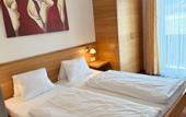 Туры в отель Pension Plattenhof