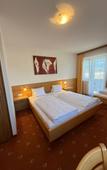 Туры в отель Pension Plattenhof