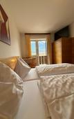 Туры в отель Pension Plattenhof