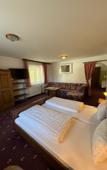 Туры в отель Pension Plattenhof
