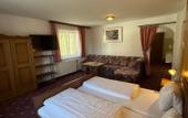 Туры в отель Pension Plattenhof
