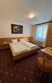 Туры в отель Pension Plattenhof