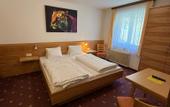 Туры в отель Pension Plattenhof