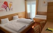 Туры в отель Pension Plattenhof