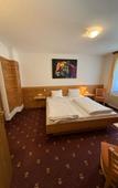 Туры в отель Pension Plattenhof