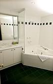 Туры в отель Elizabethan Lodge