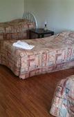 Туры в отель Beaconsfield Lodge Motel