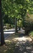 Туры в отель Nunawading Motor Inn