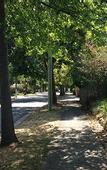 Туры в отель Nunawading Motor Inn
