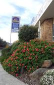 Туры в отель Best Western Mill Park Motel