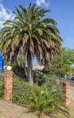 Туры в отель Greensborough Motel