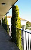 Туры в отель The Mulgrave Motel