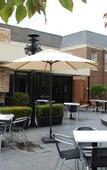 Туры в отель Canterbury International Hotel