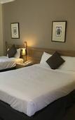 Туры в отель Comfort Hotel Dandenong