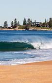 Туры в отель Nightelier Narrabeen