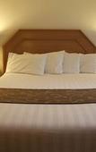 Туры в отель Eltham Gateway Hotel