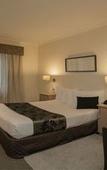 Туры в отель Eltham Gateway Hotel