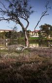 Туры в отель Swan River Hotel