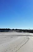 Туры в отель Quality Resort Sorrento Beach