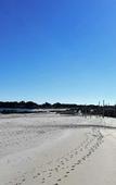 Туры в отель Quality Resort Sorrento Beach