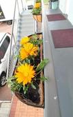 Туры в отель Econo Lodge Rivervale
