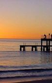 Туры в отель Discovery Parks - Coogee Beach