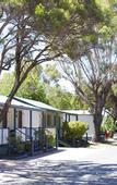 Туры в отель Discovery Parks - Coogee Beach