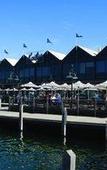 Туры в отель Discovery Parks - Coogee Beach