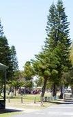 Туры в отель Discovery Parks - Coogee Beach