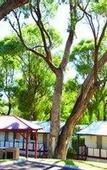 Туры в отель Discovery Parks - Woodman Point