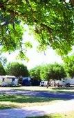 Туры в отель Discovery Parks - Woodman Point