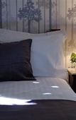 Туры в отель Astoria Retreat B&B