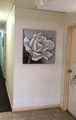 Туры в отель Northshore Hotel