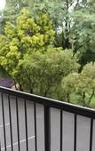 Туры в отель Best Western Ipswich