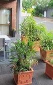 Туры в отель Best Western Ipswich