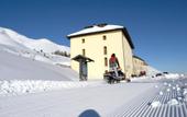 Туры в отель La Mirandola