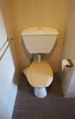 Туры в отель The Ascot Motel