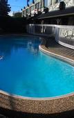 Туры в отель The Ascot Motel