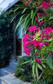 Туры в отель Cronulla Motor Inn