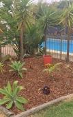 Туры в отель Cronulla Motor Inn