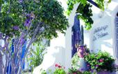Туры в отель La Palma