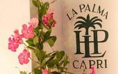 Туры в отель La Palma