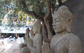 Туры в отель La Palmera & Spa