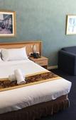 Туры в отель El Lago Waters Motel
