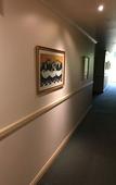 Туры в отель El Lago Waters Motel