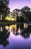 Туры в отель Oaks Cypress Lakes Resort
