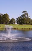 Туры в отель Oaks Cypress Lakes Resort