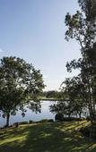 Туры в отель Oaks Cypress Lakes Resort