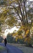 Туры в отель Oaks Cypress Lakes Resort