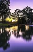 Туры в отель Oaks Cypress Lakes Resort